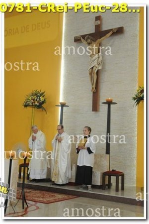 0781-CRei-PEuc-28-04-2019