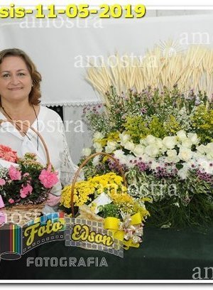 1227-SFAssis-11-05-2019