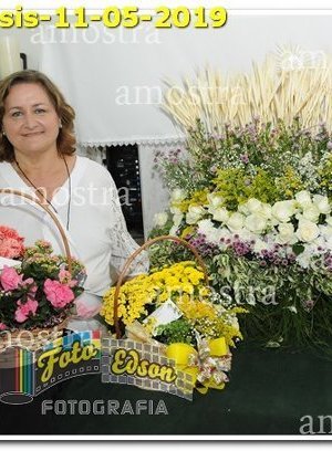1228-SFAssis-11-05-2019