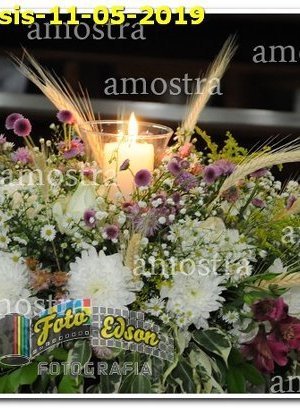 1231-SFAssis-11-05-2019