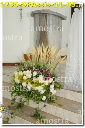 1235-SFAssis-11-05-2019