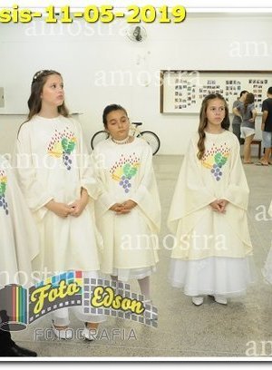 1242-SFAssis-11-05-2019