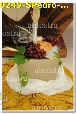 0249-SPedro-13-10-19