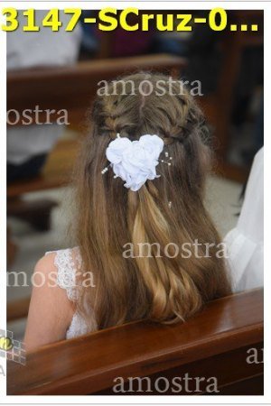 3147-SCruz-07-08-2021