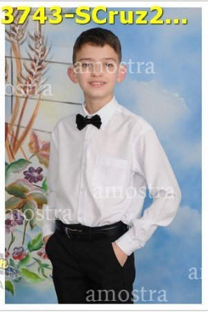 3743-SCruz21-08-2021