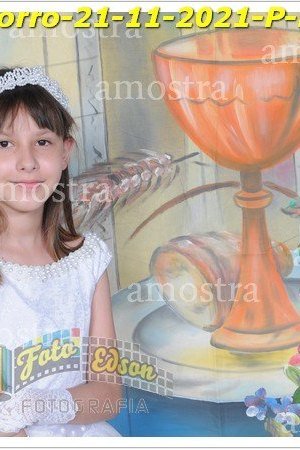 8336-P-Socorro-21-11-2021-P-Euc