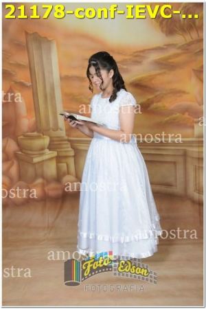 21178-conf-IEVC-09-11-2024