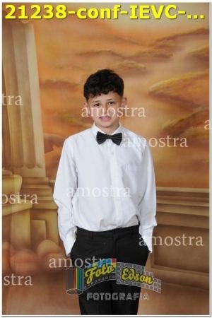 21238-conf-IEVC-09-11-2024