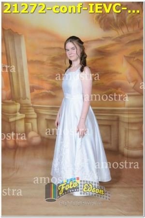 21272-conf-IEVC-09-11-2024