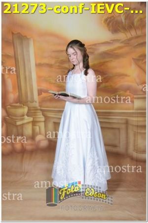 21273-conf-IEVC-09-11-2024