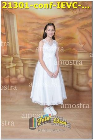 21301-conf-IEVC-09-11-2024