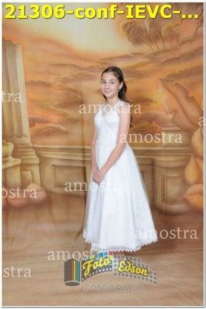 21306-conf-IEVC-09-11-2024