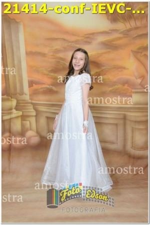 21414-conf-IEVC-09-11-2024