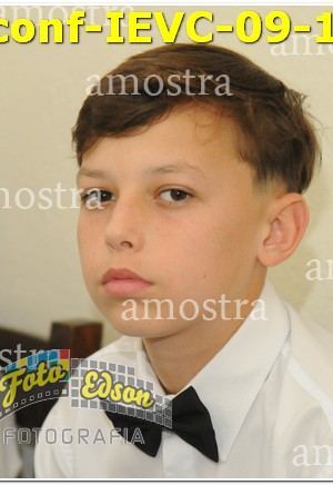 21716-conf-IEVC-09-11-2024