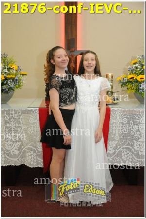 21876-conf-IEVC-09-11-2024