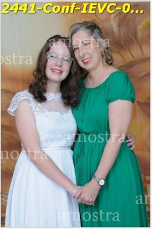 2441-Conf-IEVC-06-11-2022