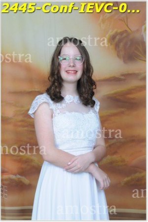 2445-Conf-IEVC-06-11-2022