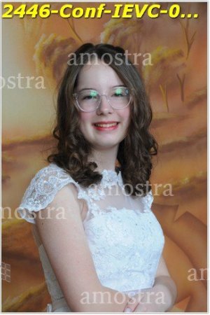 2446-Conf-IEVC-06-11-2022