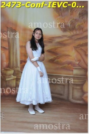 2473-Conf-IEVC-06-11-2022