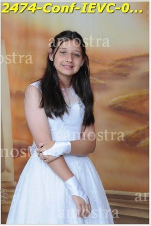 2474-Conf-IEVC-06-11-2022