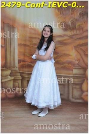 2479-Conf-IEVC-06-11-2022