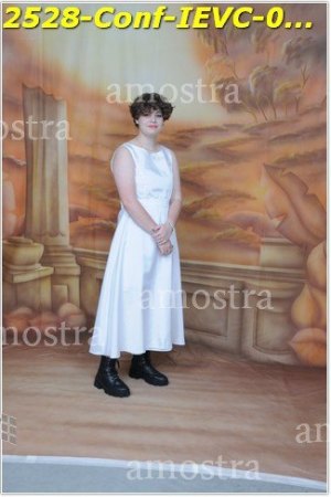 2528-Conf-IEVC-06-11-2022