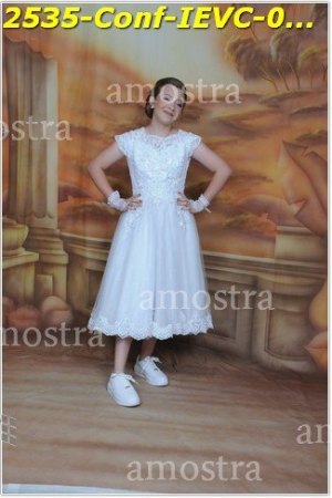 2535-Conf-IEVC-06-11-2022