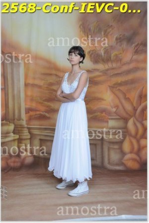 2568-Conf-IEVC-06-11-2022