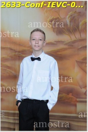 2633-Conf-IEVC-06-11-2022