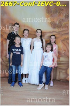 2667-Conf-IEVC-06-11-2022