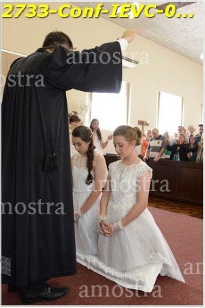 2733-Conf-IEVC-06-11-2022