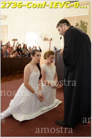 2736-Conf-IEVC-06-11-2022