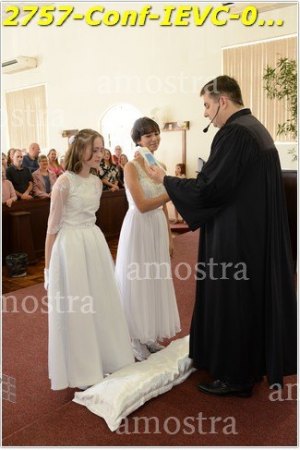 2757-Conf-IEVC-06-11-2022