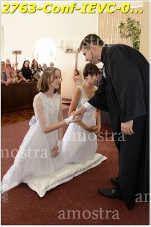 2763-Conf-IEVC-06-11-2022