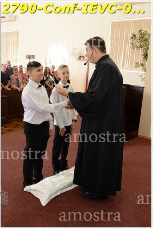 2790-Conf-IEVC-06-11-2022