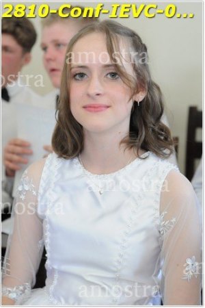 2810-Conf-IEVC-06-11-2022