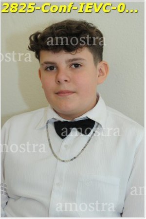 2825-Conf-IEVC-06-11-2022