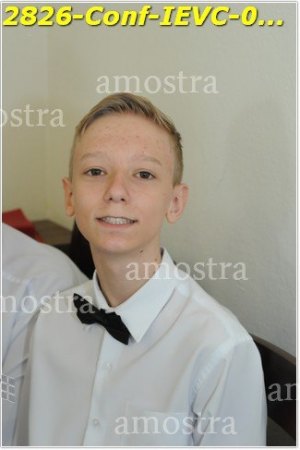 2826-Conf-IEVC-06-11-2022