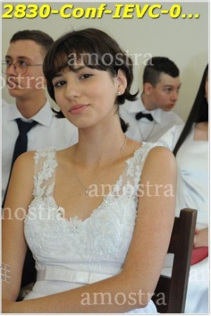 2830-Conf-IEVC-06-11-2022