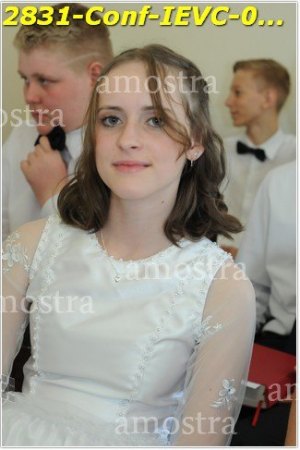 2831-Conf-IEVC-06-11-2022