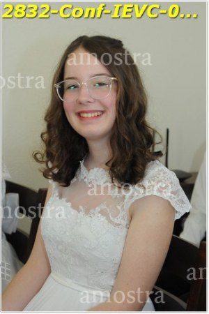 2832-Conf-IEVC-06-11-2022