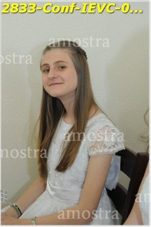 2833-Conf-IEVC-06-11-2022