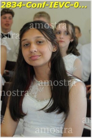 2834-Conf-IEVC-06-11-2022