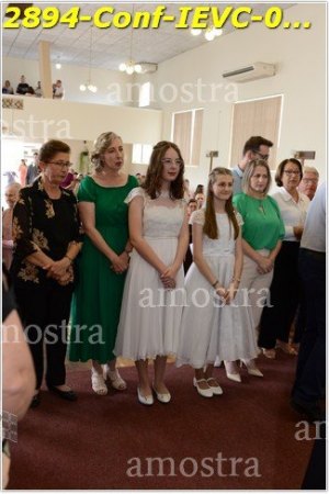 2894-Conf-IEVC-06-11-2022