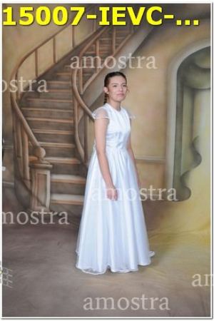 15007-IEVC-11-11-2023