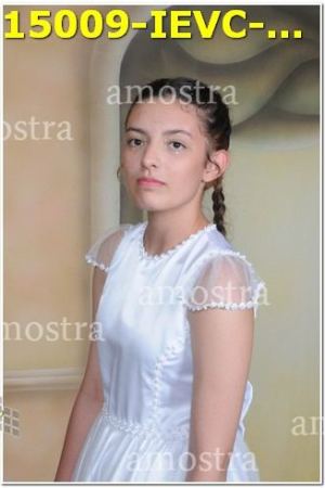 15009-IEVC-11-11-2023