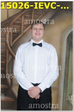 15026-IEVC-11-11-2023