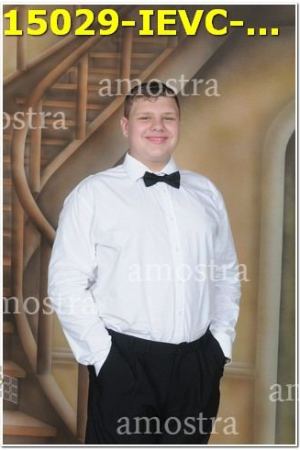 15029-IEVC-11-11-2023