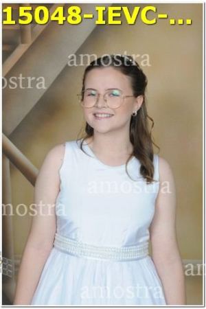 15048-IEVC-11-11-2023