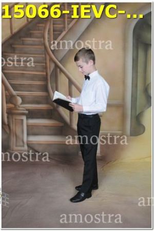 15066-IEVC-11-11-2023